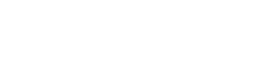 secondary logo image